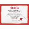 Гайковёрт сетевой РЕСАНТА ГС-1100 75/24/1